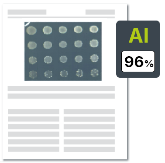 AI图片检测示例
