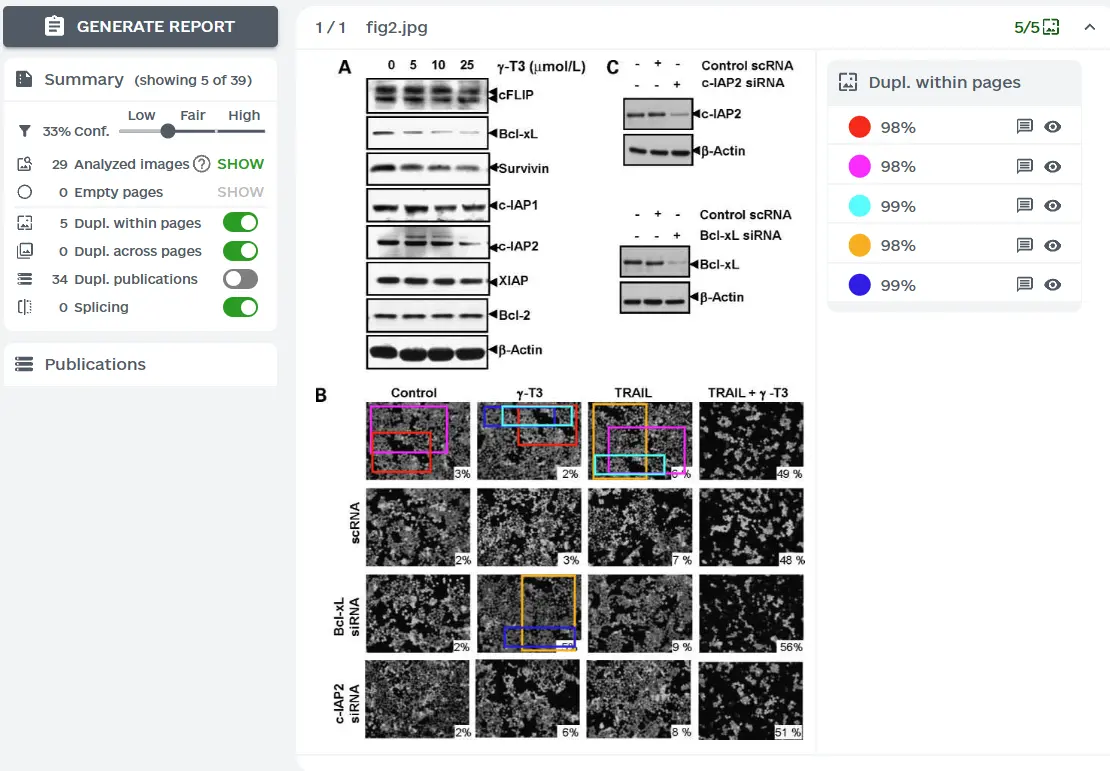 ImageTwin图片查重系统界面